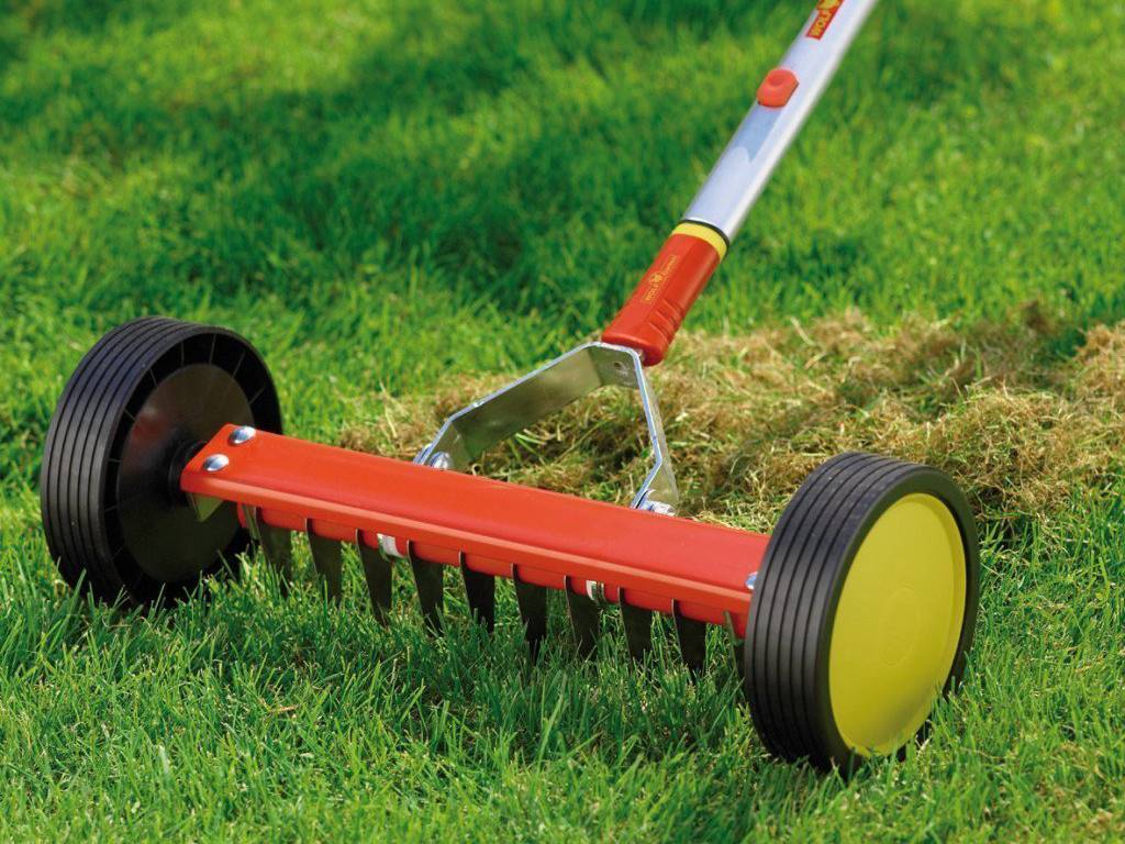 Ухаживаем за газоном: рейтинг скарификаторов 2020 года