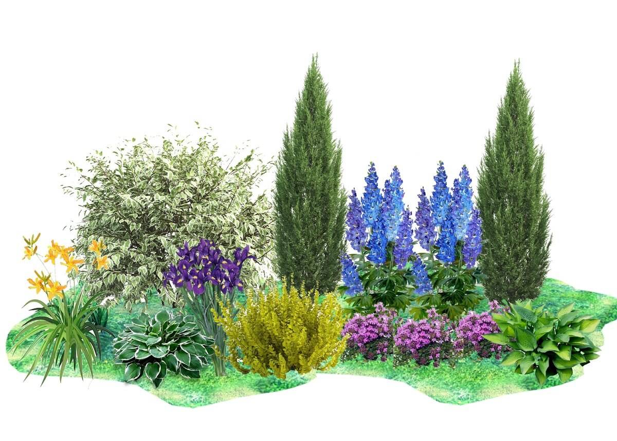 Хосты в саду: особенности выращивание и правила сочетания с другими цветами на клумбах