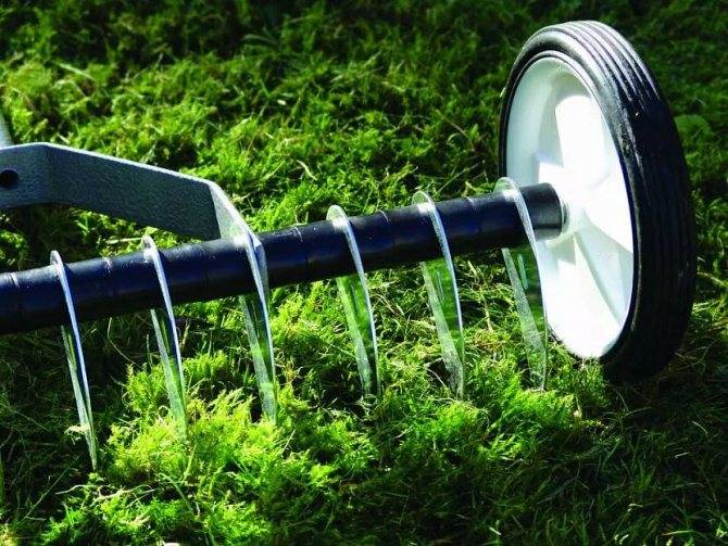 Как выбрать аэратор для газона: бензиновый или электрический, скарификатор или вертикуттер