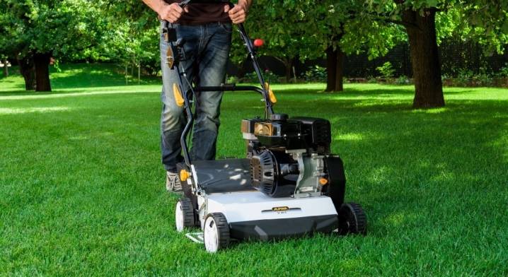 Выбираем аэратор и скарификатор для ухода за газоном, правила пользования