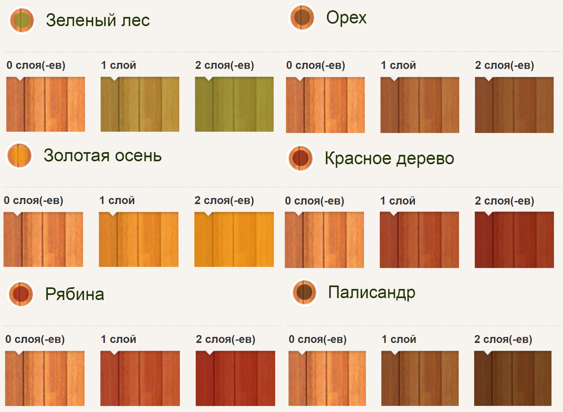 Цвета пропитки для дерева. Pinotex Focus Aqua орех. Pinotex Focus Aqua Золотая осень. Pinotex Focus Aqua палисандр. Пинотекс фокус Аква палитра.