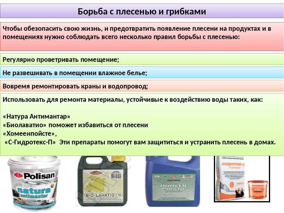 Грибок на стенах, как убрать навсегда? | секреты мастера