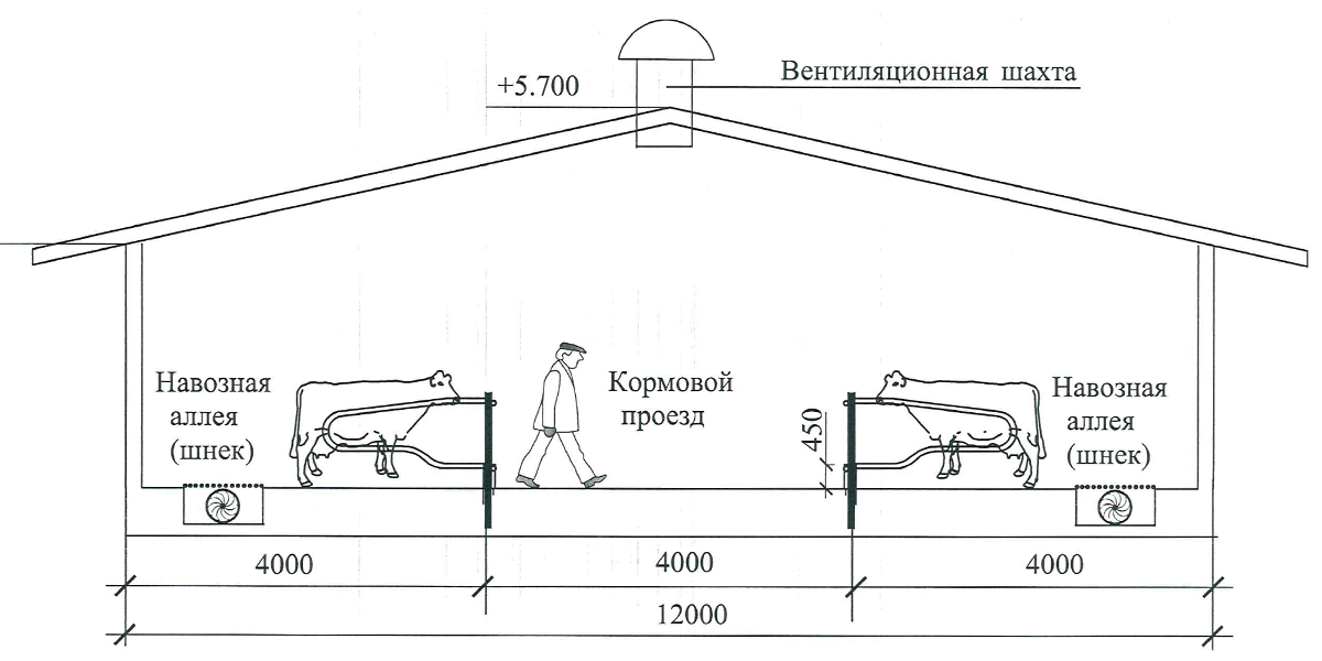 Схема сарая для овец