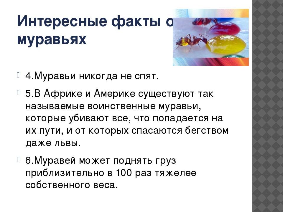 100 удивительных фактов о человеческом теле и мозге