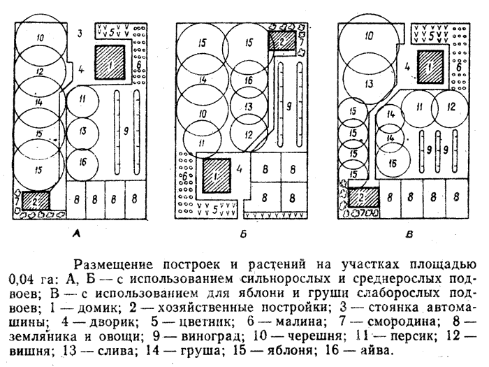 План рассадки растений на участке 6 соток