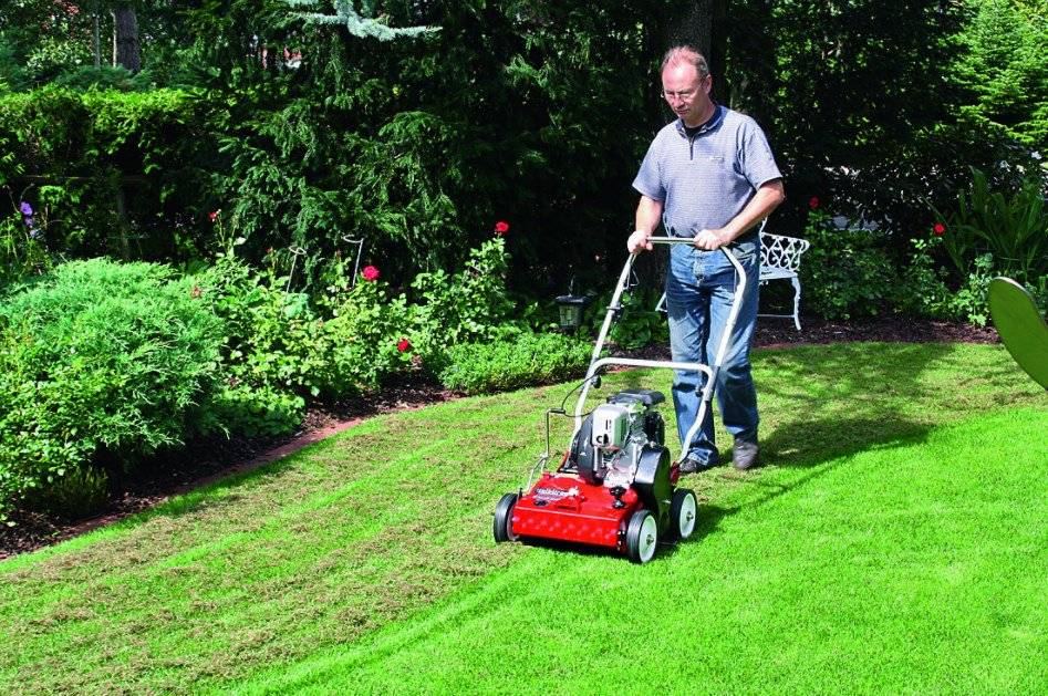 Какой аэратор лучше купить для ухода за газоном