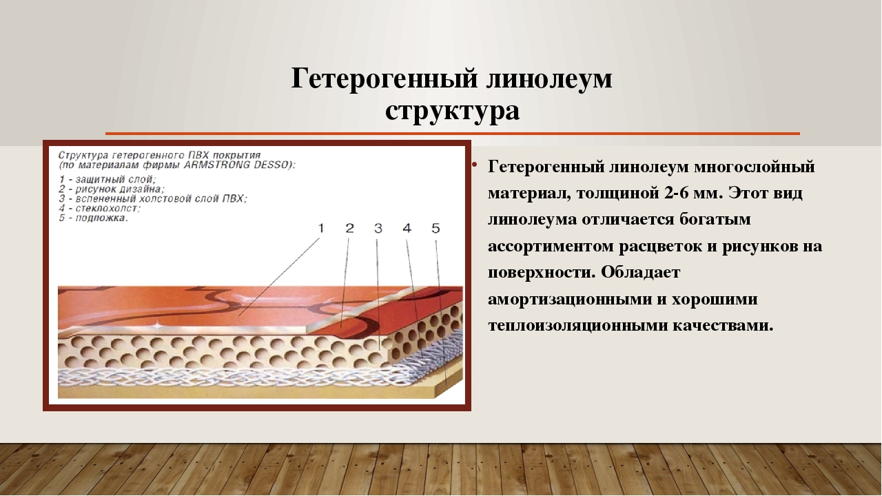 Гомогенный линолеум- что это? чем отличается от обычного и гетерогенного линолеума- советы