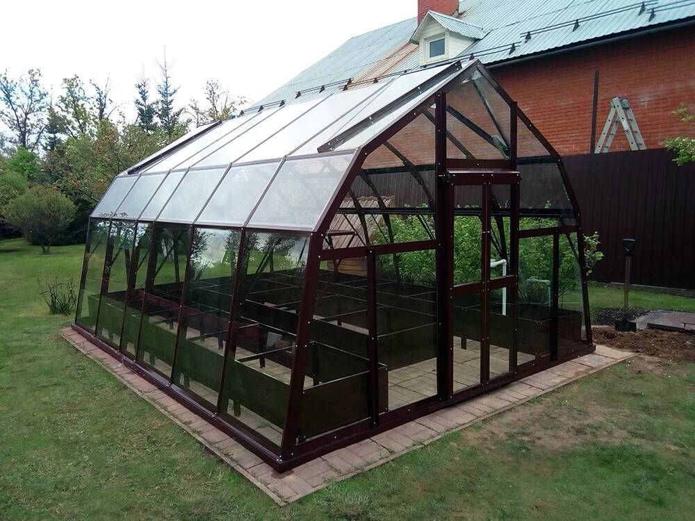 Теплицы glass house: преимущества модели «березка», отзывы