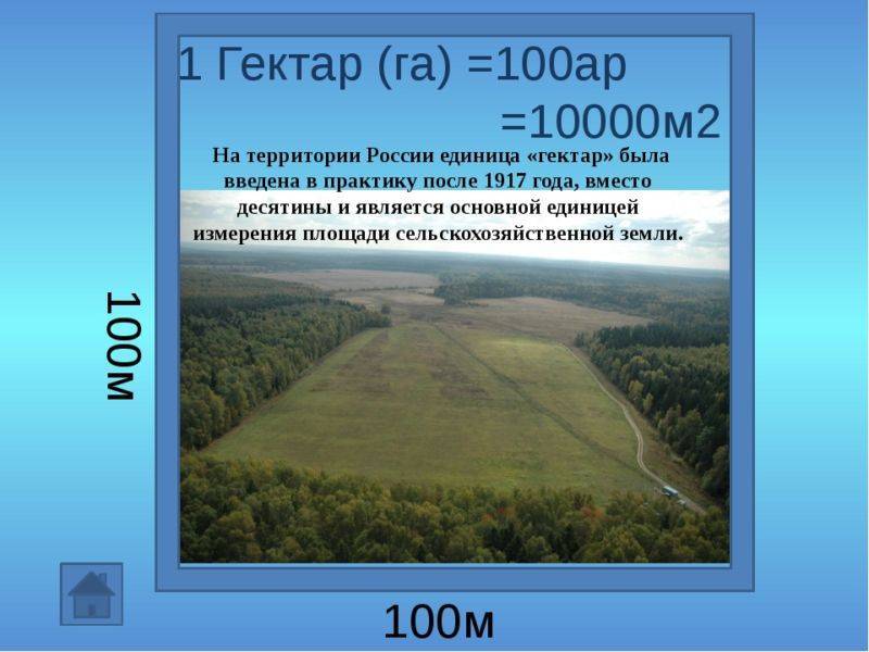 100 метров это 1 километр. Сколько квадратных метров в 1 гектаре. 100 Метров на 100 метров сколько гектар. Размер 1 гектара в метрах квадратных. Площадь одного гектара в метрах квадратных.