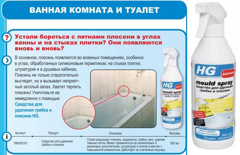 10 эффективных средств для борьбы с черной плесенью