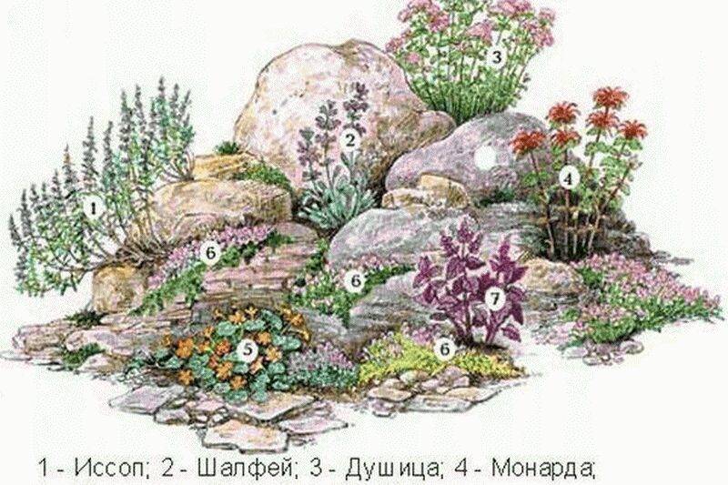 Рокарий своими руками – пошаговая инструкция – камни, растения, цветы, схемы посадки и устройства рокария на даче – каменистая горка + фото