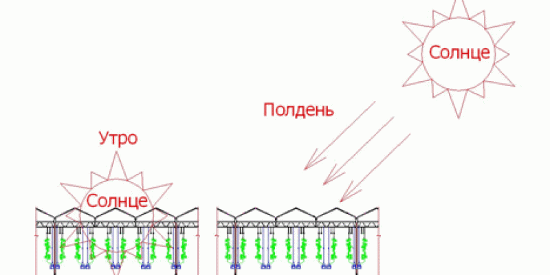 Теплица относительно сторон света. Размещение грядок на участке по сторонам света. Расположение теплицы по сторонам света. Правильное расположение теплицы. Ориентация теплицы.