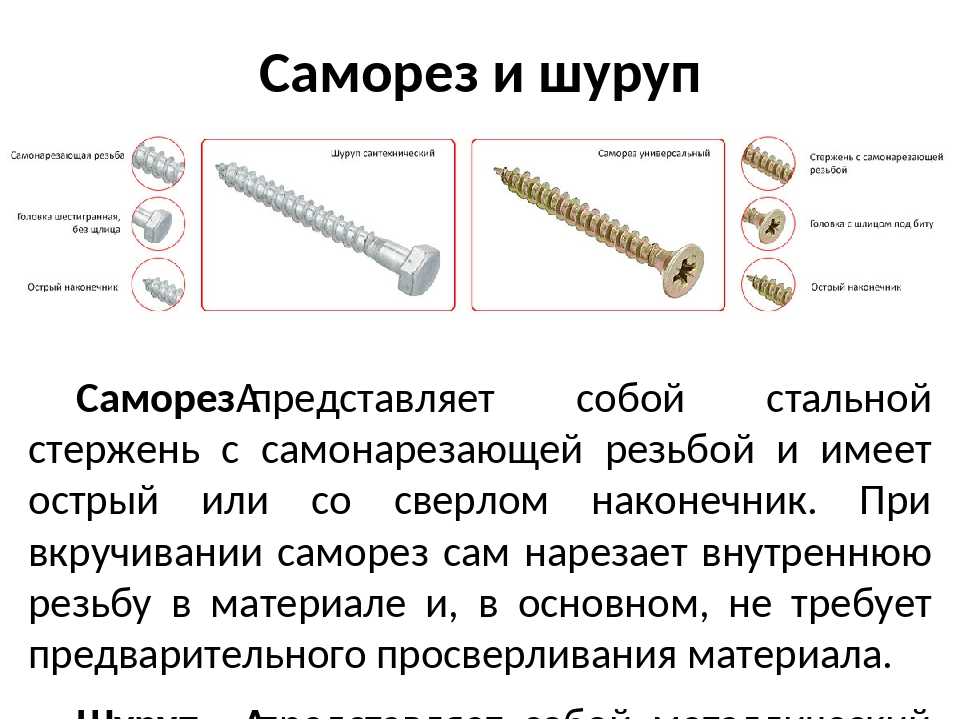 Виды саморезов: характеристики, особенности, свойства, применение, рекомендации специалистов