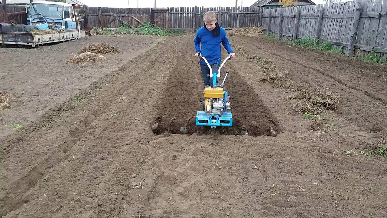 Как завести мотоблок — в деталях для начинающих и не только