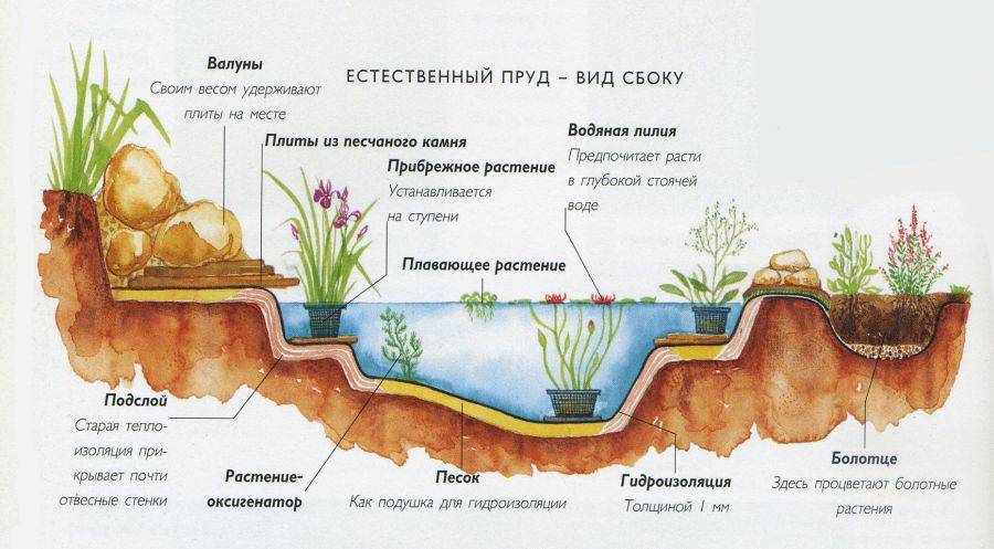 Как установить и оформить пластиковый пруд в саду