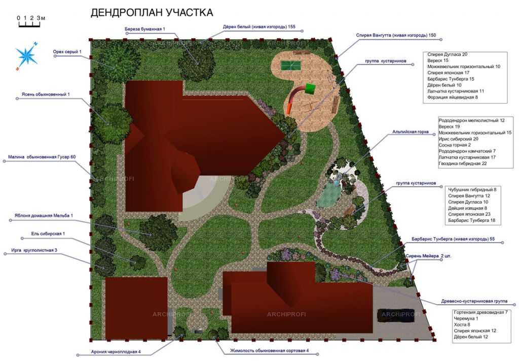 Особенности и правила составления дендроплана для вашего участка