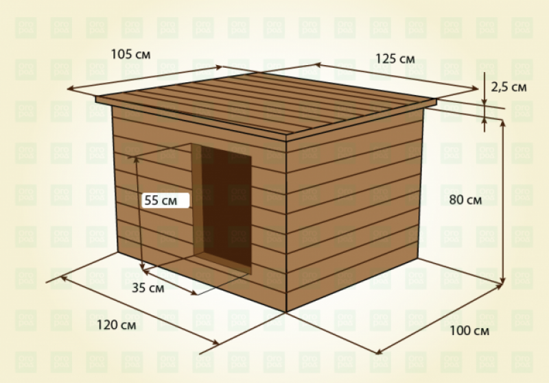Размер будки для собаки овчарки немецкой. Размеры конуры для немецкой овчарки. Размер конуры для немецкой овчарки стандарт. Будка для немецкой овчарки Размеры чертежи. Будка конура для немецкой овчарки размер.