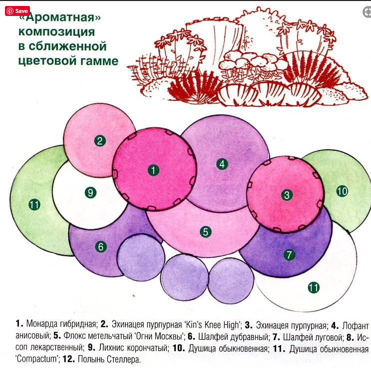 Миксбордер схема с названиями растений