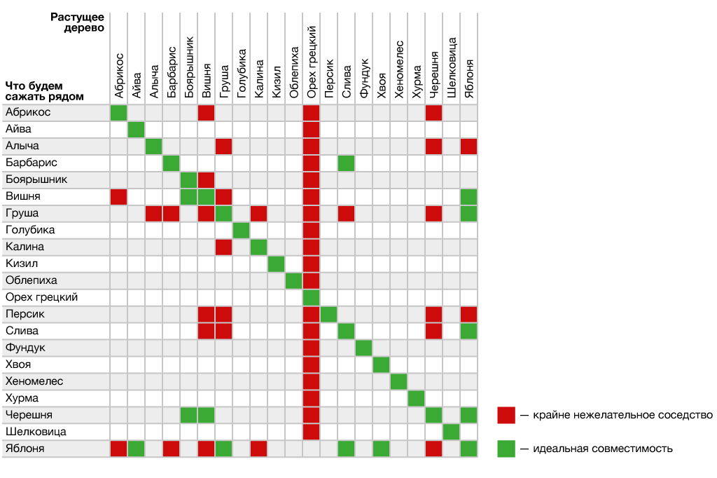 Совместимость плодовых деревьев и кустарников в саду таблица. Совместимость посадки плодовых деревьев и кустарников в саду. Таблица совместимости плодовых деревьев и кустарников в саду таблица. Соседство плодовых деревьев и кустарников таблица.