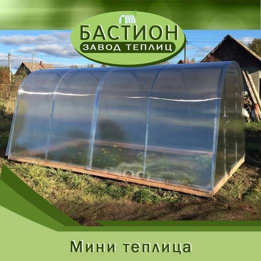 Какая теплица лучше?