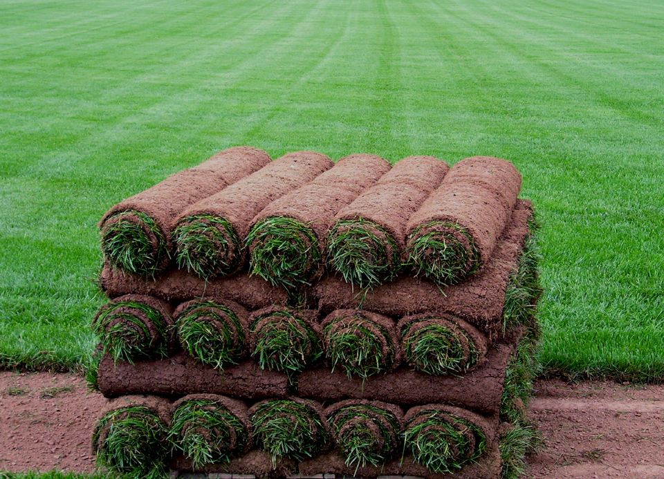 Как правильно стелить рулонный газон: советы по укладке и уходу