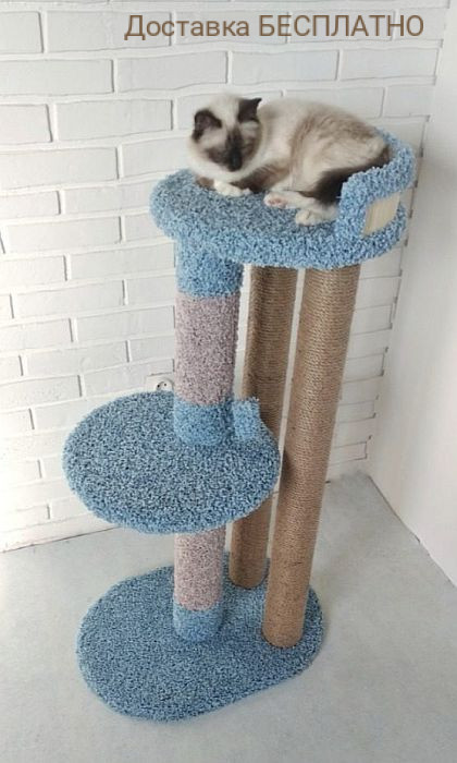 Домик для кошки своими руками из картонной коробки, лежанка для кошки, чертежи с размерами