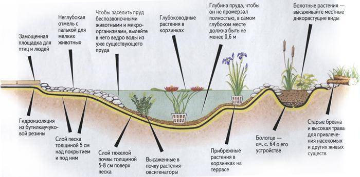 Схема пруда с биоплато с насосом