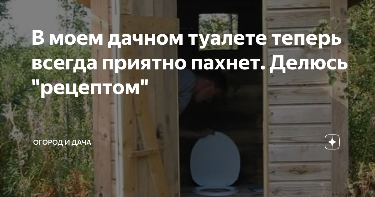 Чистка дачного туалета своими силами