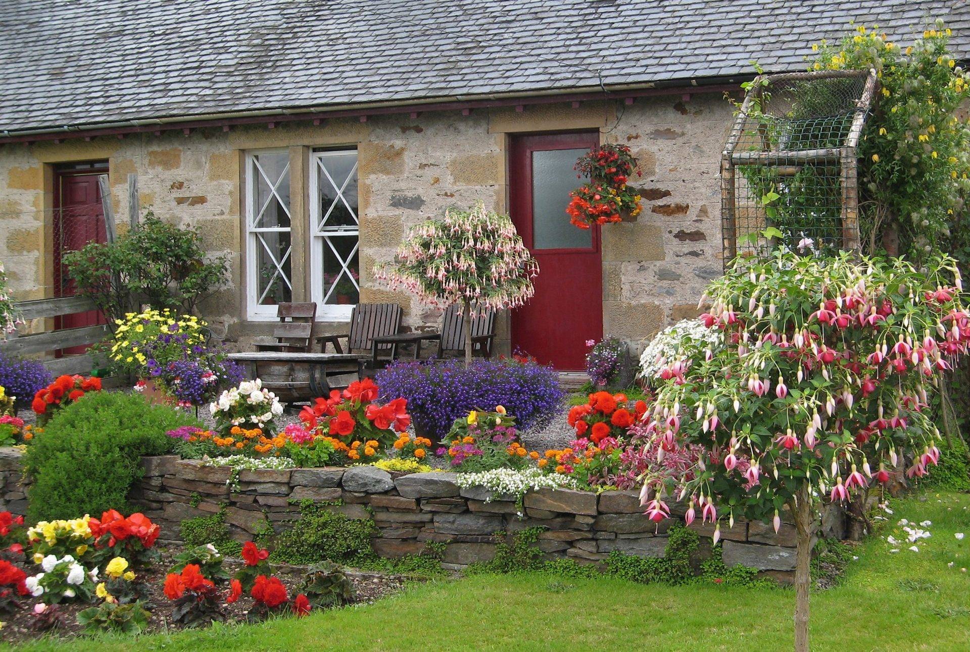 цветы в палисаднике перед домом фото