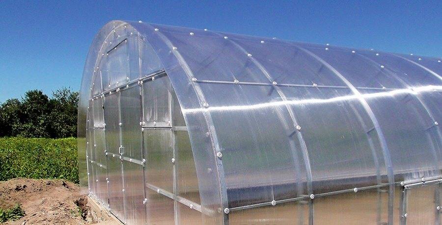 Топ-8 лучших производителей сотового поликарбоната на 2022 год