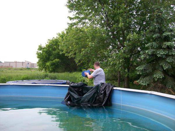 Что делать, если зеленеет вода в бассейне