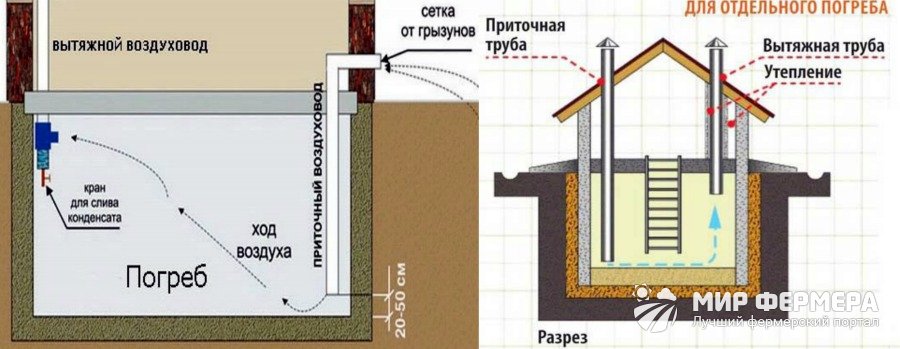 Как избавиться от конденсата в погребе?