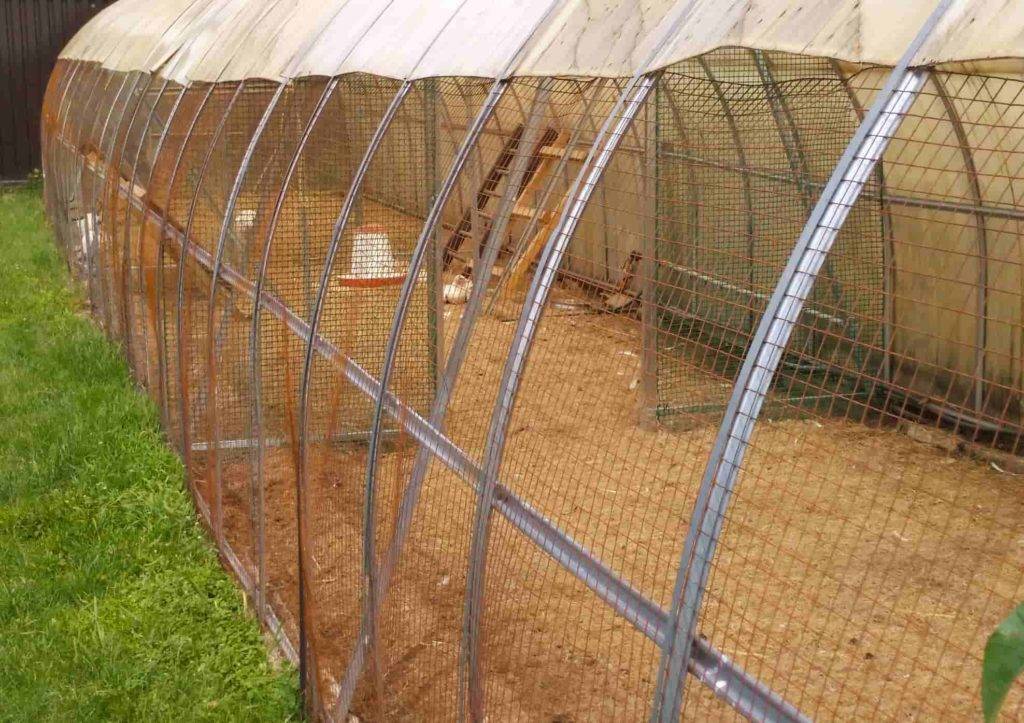 Как самостоятельно соорудить компактный курятник из поликарбоната