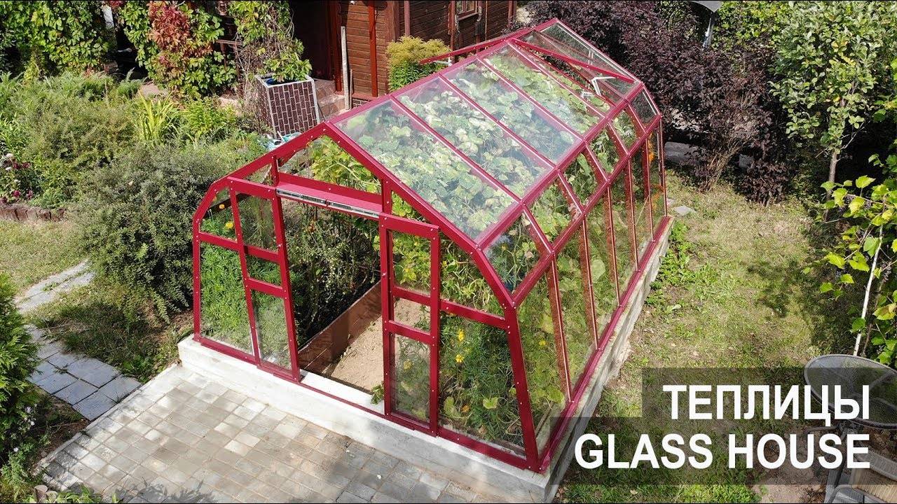 Основные особенности теплицы гласс хаус