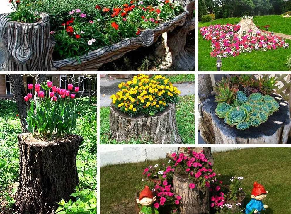 Красивые клумбы для дачи: дизайн, оформление, советы и лайфхаки
