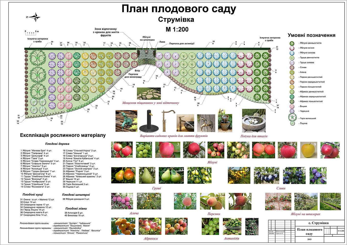 Как правильно посадить деревья и кустарники на участке схема