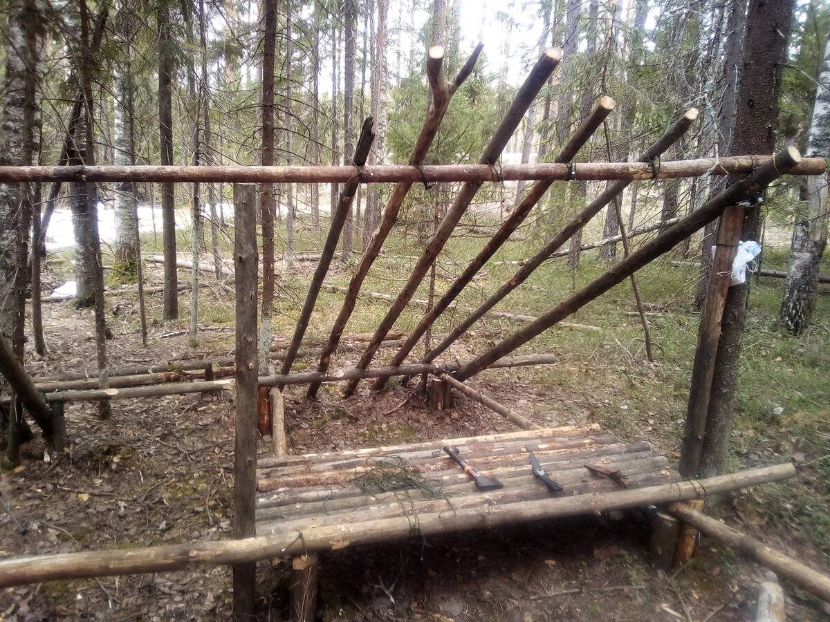 Можно ли собирать валежник с бензопилой