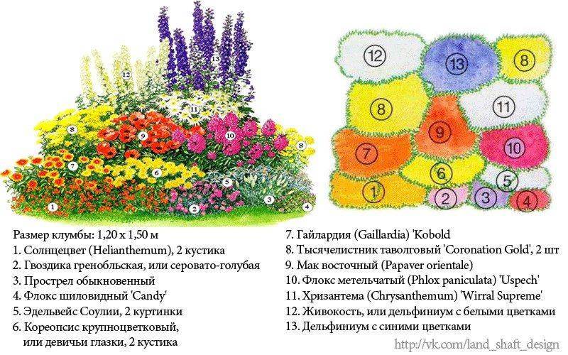 Виды цветников для дачи — идеи создания и реализации проекта