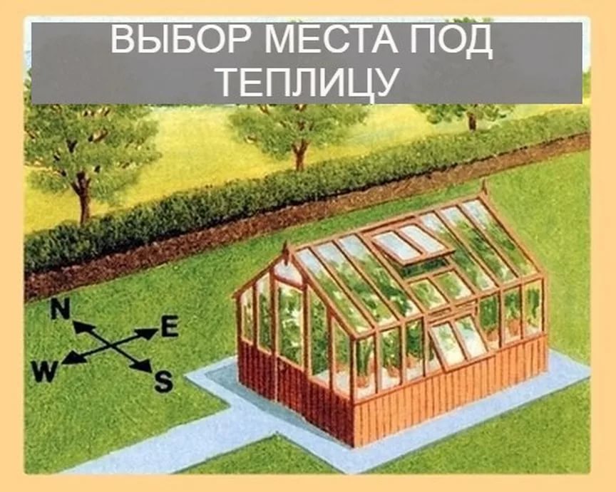 Как правильно расположить теплицу на участке по сторонам света: где лучше поставить и установить