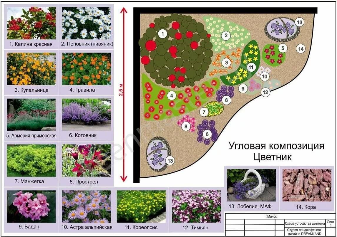 Схема посадки цветов на даче