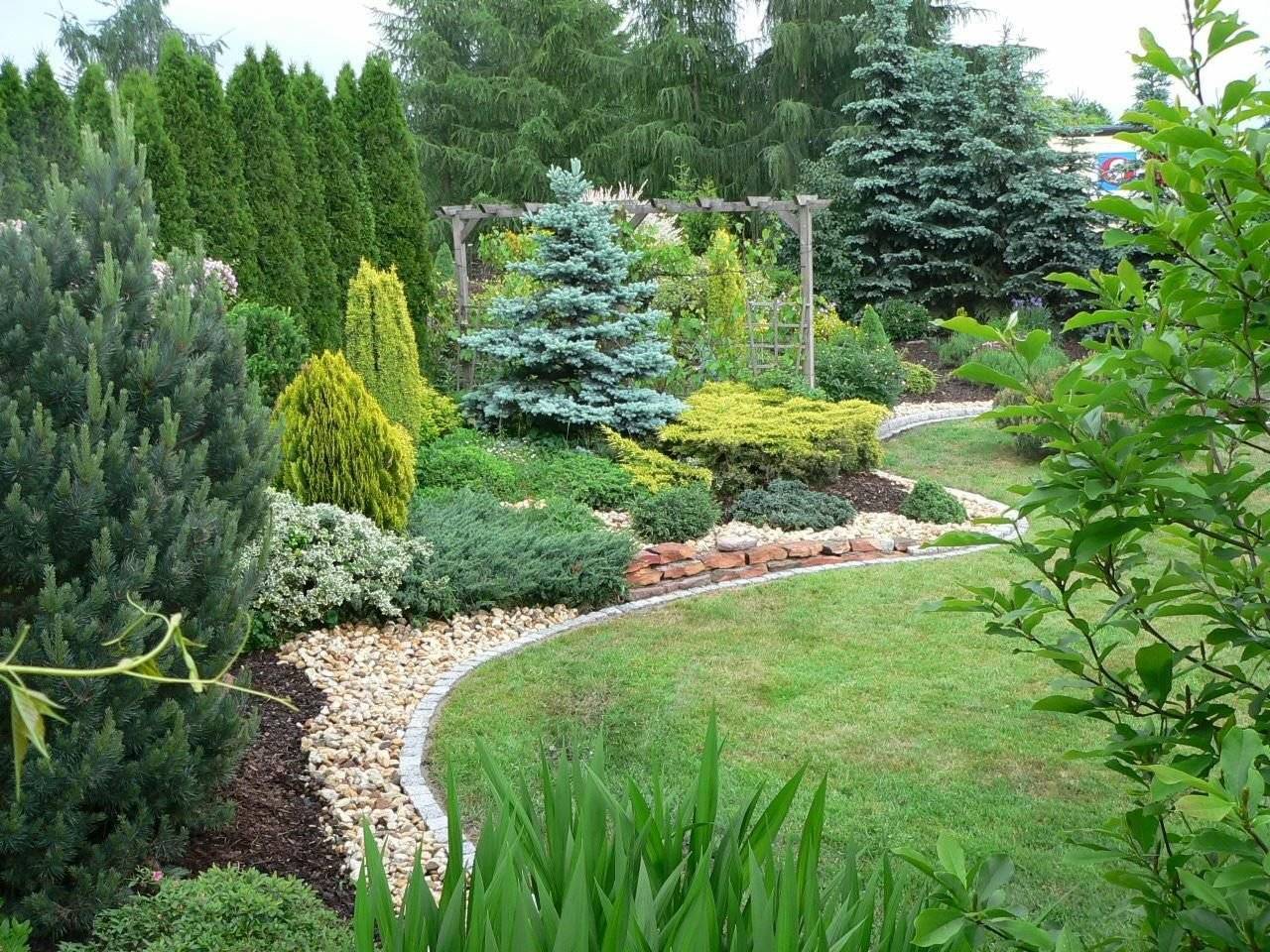 Хвойные растения в ландшафтном дизайне: вечнозеленый сад из хвойников (30 фото) - decorwind
