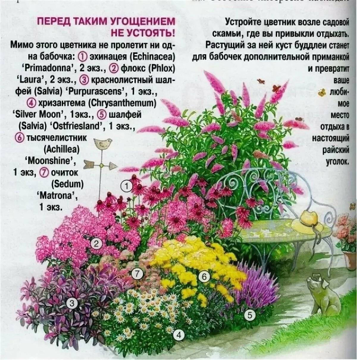 Клумба из многолетников для начинающих