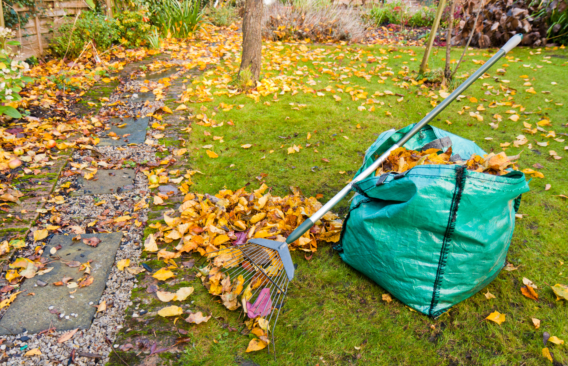 Yard cleaning. Уборка листьев. Уборка листвы в саду. Уборка в саду осенью. Уборка листьев с газона.