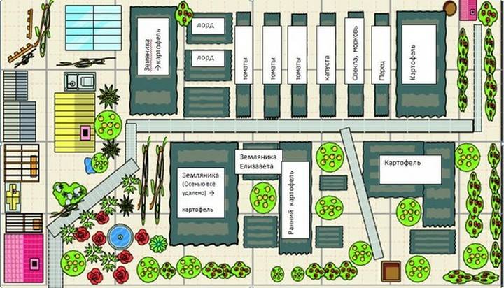 Планировка плодового сада схема