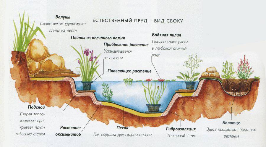 Разрез пруда чертеж