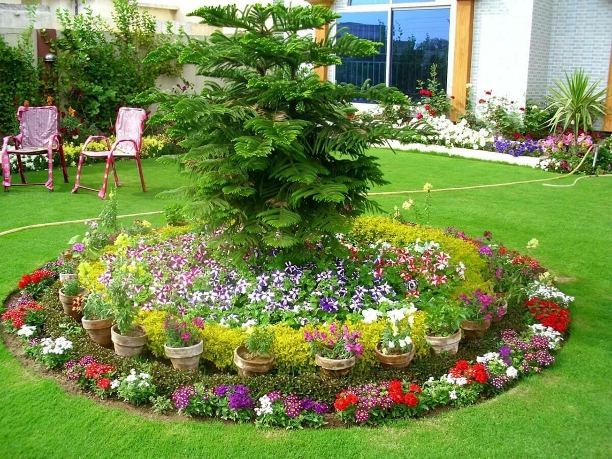 Клумбы перед домом: оформляем красивый цветник, выбираем цветы, полив и уход за ними