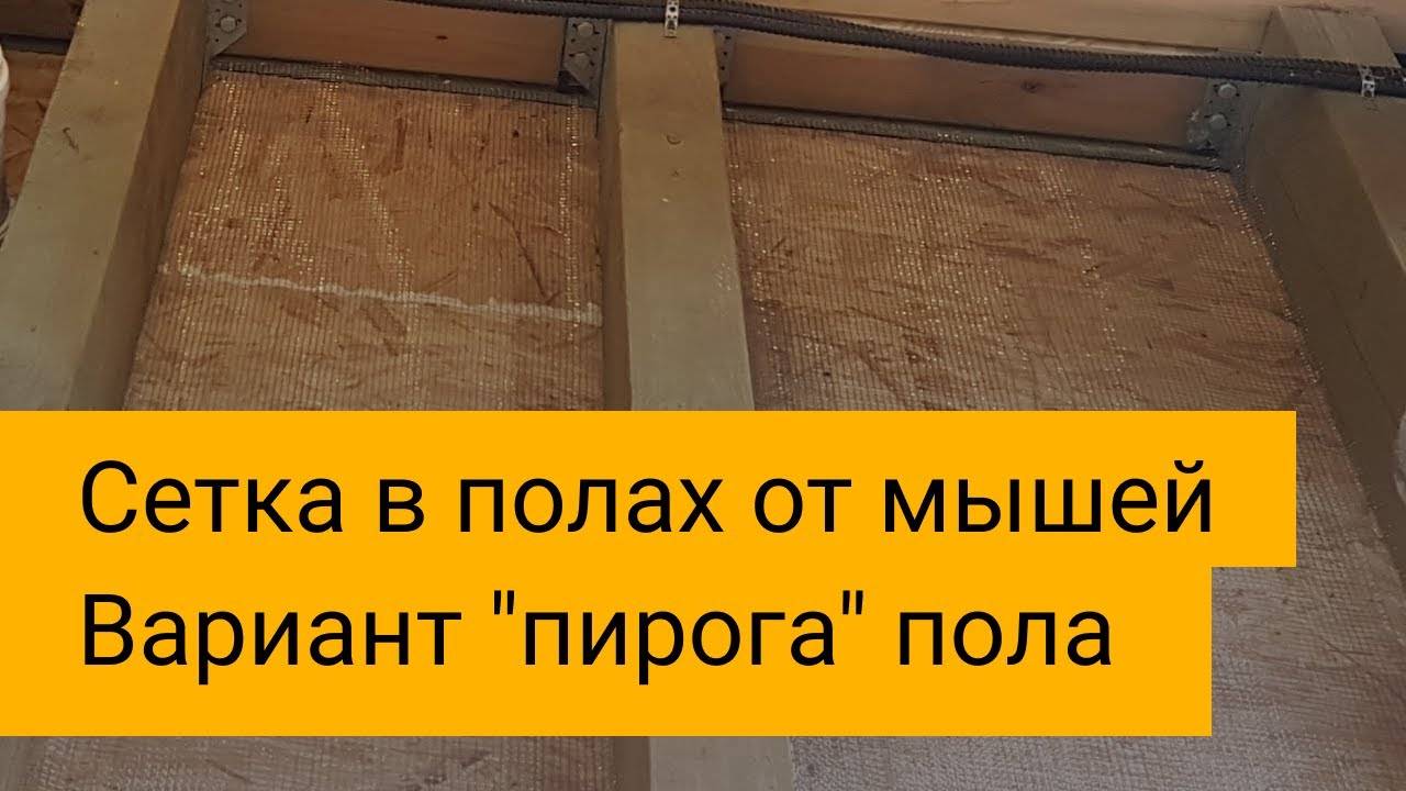 История избавления от мышей в доме из бруса: личный опыт и какой утеплитель грызут мыши чаще всего