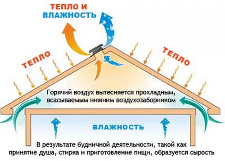 Вентиляция холодного чердака частного дома: окна или вывод | пост-ремонт