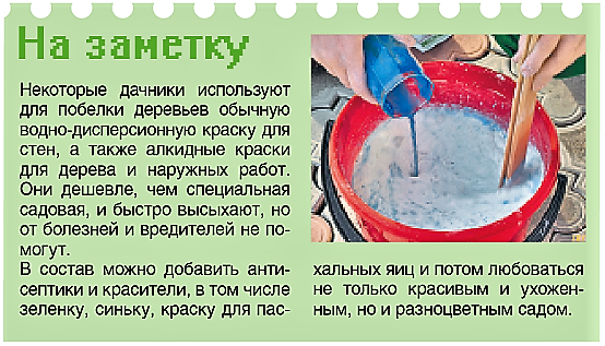 Побелка дома известью снаружи — канализация