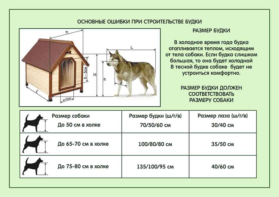 Будка для немецкой овчарки размеры чертежи размеры